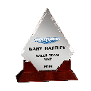 Glass Awards with Wood Base