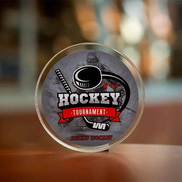 puck3.webp
