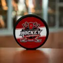 Puck Decal