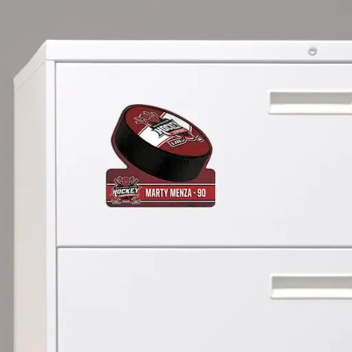 Profile Shape Magnets
